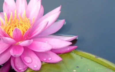 Thema — Selbstverantwortung