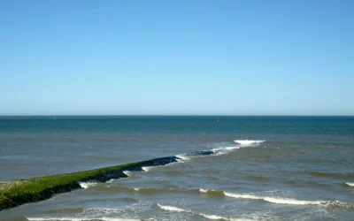 Thema — Kommunikation