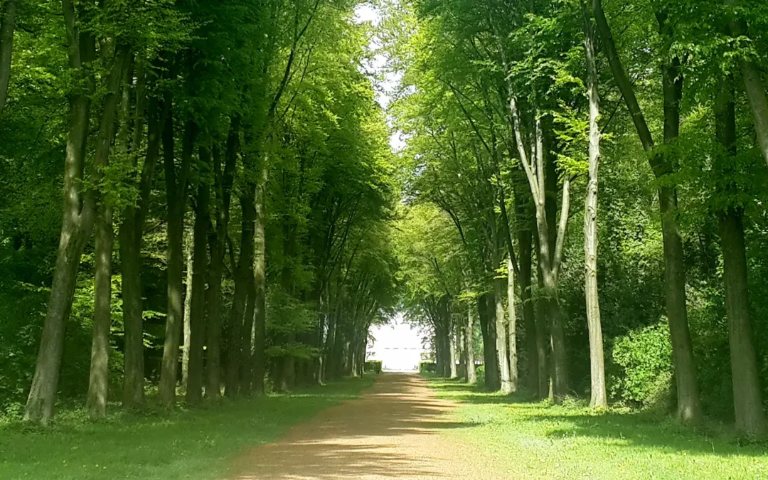 Thema — Egobewusstsein