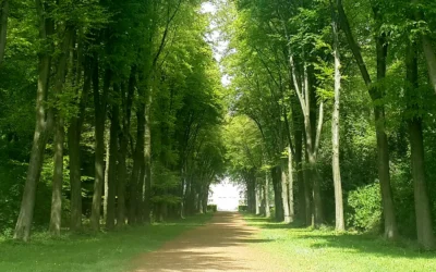 Thema — Egobewusstsein