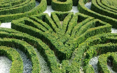 Testimonial — Katja Schüre