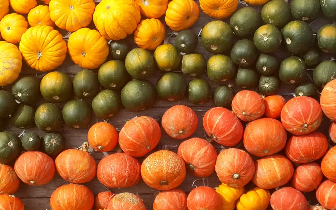 Lernaufgaben lernen Dux Vitae