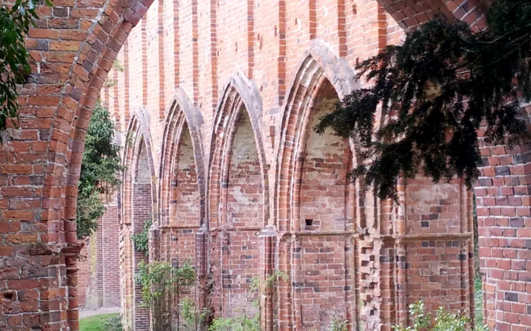 Leben verstehen Dux Vitae